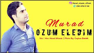 Murad Elizade Ozum Eledim 2019 Resimi