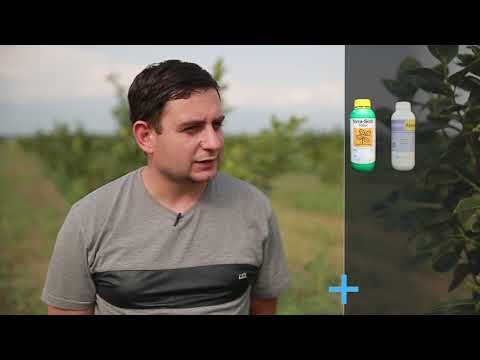 სადემონსტრაციო ნაკვეთი ხურმის ბაღი,წნორი 04,06,2019