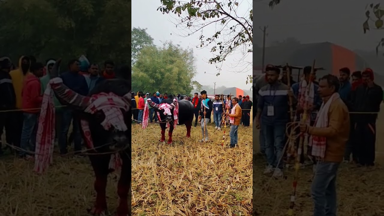 Morigaon Champion 🏆