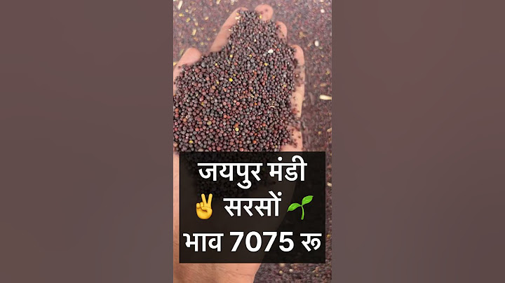 आज सरसों भाव में आया जोरदार उछाल देखें भाव।sarso ka bhav, Mustard Prices