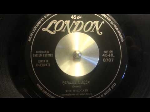 The Wildcats - Gazachstahagen - instro tittyshakers