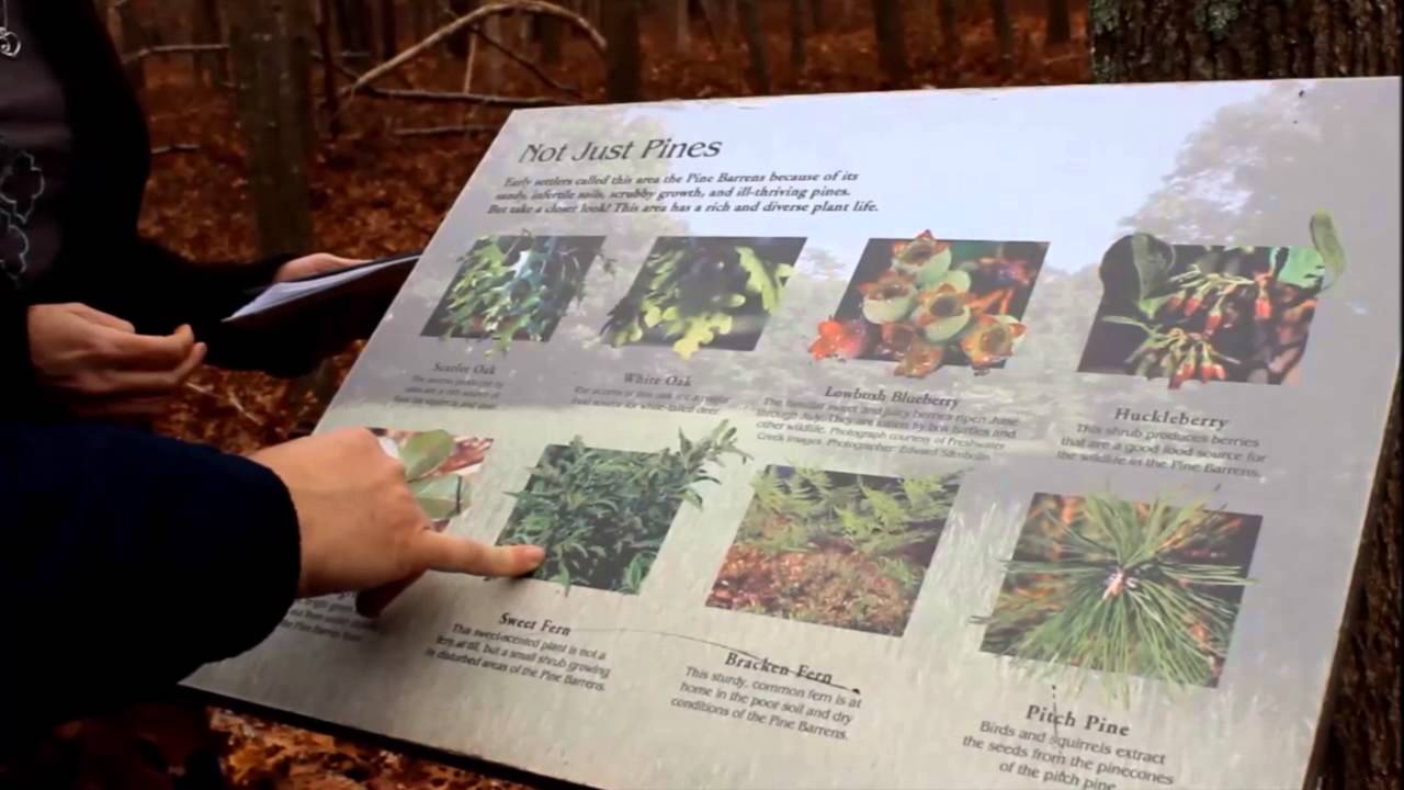 Attendance declining at Long Island parks