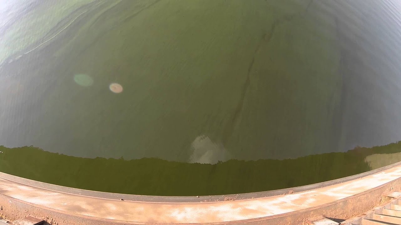 Ropejumping   Черненко Игорь