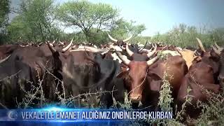 Cansuyu Kurban Organizasyonu