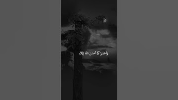 سعود الشريم-تلاوة جميلة وهادئه😴🌹اجمل حالات واتساب قران 🌿❤ اجمل و اروع تلاوة القران الكريم