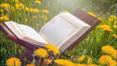 القارئ ابراهيم محمد ماتيسر من سورة الاحزاب