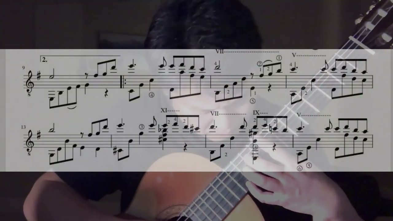 Song from a Secret Garden (Music Sheet for Guitar Solo)