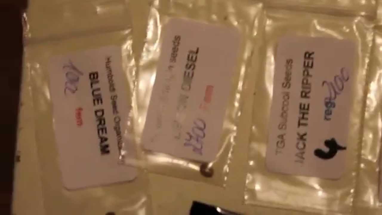 Strain Train - Cannabis Catalog - Seed Collection - 2015 - Private Reserve - Pt #1