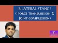 Bilateral Stance- Force calculation and Joint compression