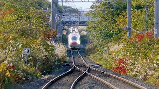 [JR 東日本] 秋田新幹線こまち E6系 小岩井駅通過