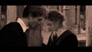 Video thumbnail of "Hermione & Cedric"