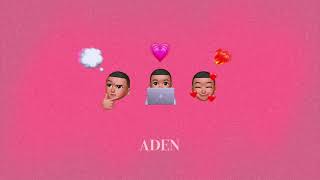 王ADEN - 【想了你6次】(audio)
