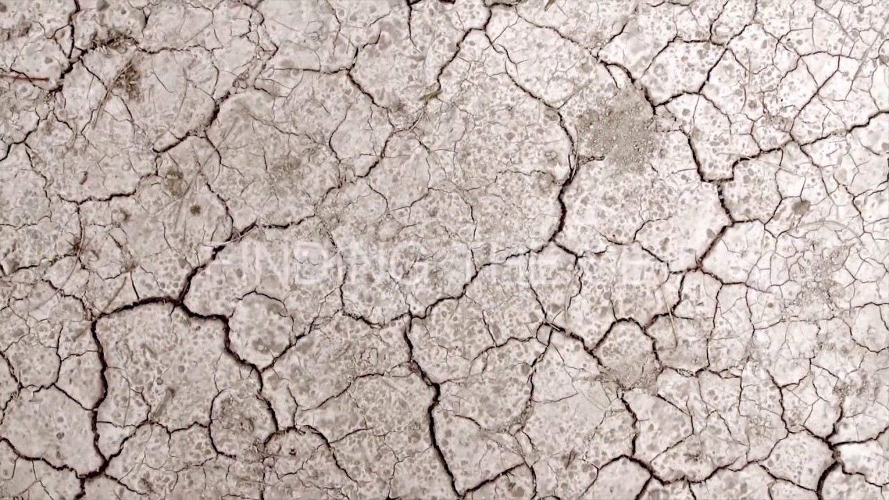 C3 The way of water: Video + Performance + Intervención Colectiva