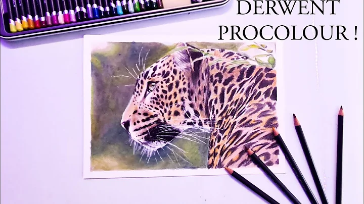 Drawing a Leopard from start to finish (Derwent Procolour pencils)