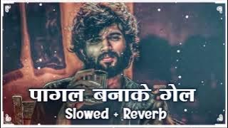 साजन बनेबे केह क पागल बनाके गेल ( #Slowed   Reverb ) Maithali Sad Lofi Song | Pagal Banake Gel Lofi