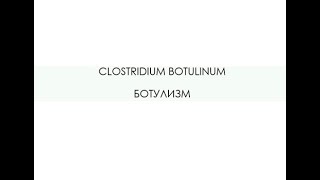 CLOSTRIDIUM BOTULINUM. БОТУЛИЗМ.