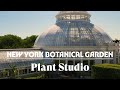 Introducing plant studio