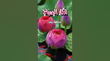 اذكار صباحية للحفظ للصحابي انس بن مالك  #اكسبلور