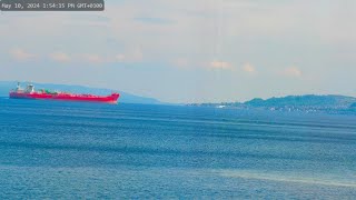 Holy Loch and wildlife  Dunoon Scotland