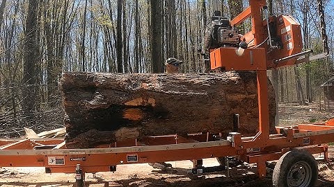 Casualty at the mill.