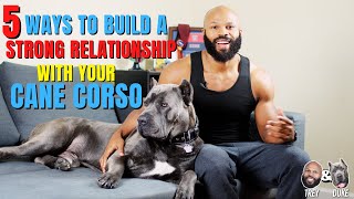 5 Ways to Build a Strong Relationship With Your Cane Corso