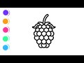 Raspberry Drawing And Coloring Pages For Kids