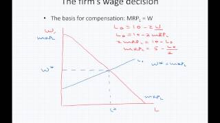 ECON 3100 12.1 - The firm's wage decision
