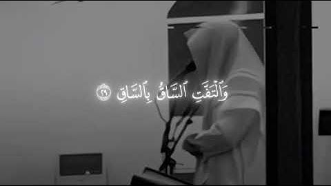 كَلَّا إِذَا بَلَغَتِ التَّرَاقِيَ (٢٦) وَقِيلَ مَنْ ۜ رَاقٍ / تلاوة من سورة القيامة