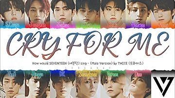 How would SEVENTEEN (세븐틴) sing "CRY FOR ME" by TWICE (트와이스) (Color Coded Lyrics)