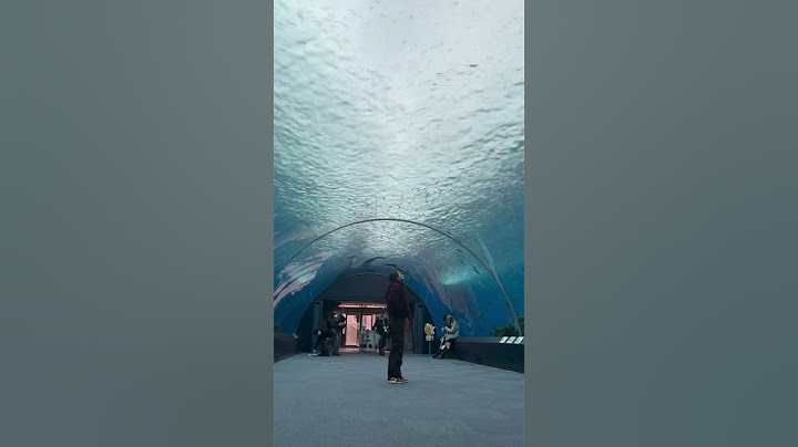 Japan 🇯🇵  #osaka #aquarium