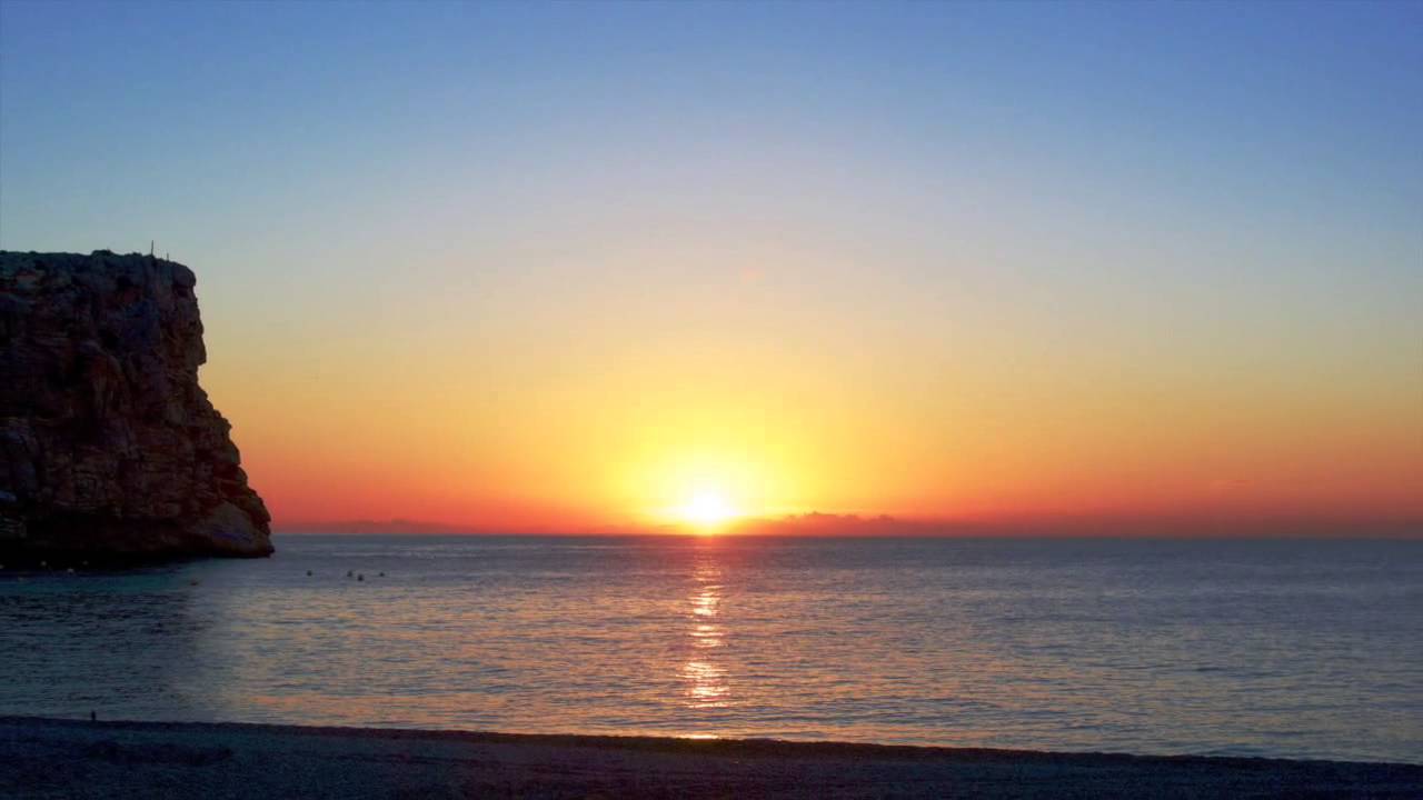 Paloma mensajera   Habanera