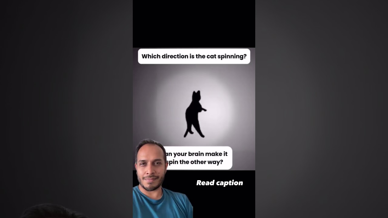 Don't believe your eyes! Is cat spinning clockwise or anticlockwise?