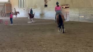 *ADOPTED* Pat's Karma - "Karma" - 2016 Ohio-bred Gelding
