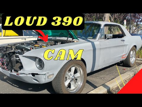 1968 Ford Mustang 390 GT | Loud Exhaust Sound | #Thesmellofgas | @Thesmellofgas
