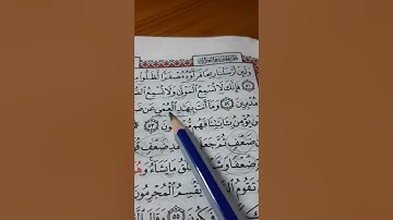 أسئلة إجازة لرواية حفص من سورة الروم صفحة ٤١٠