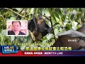 立百病毒疫情升溫