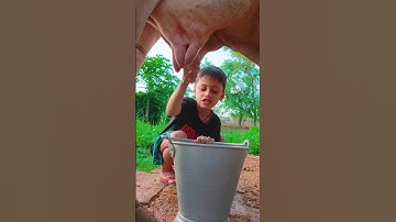 Thumbnail of choti choti gaiya gyyth fhf #love #song #funny