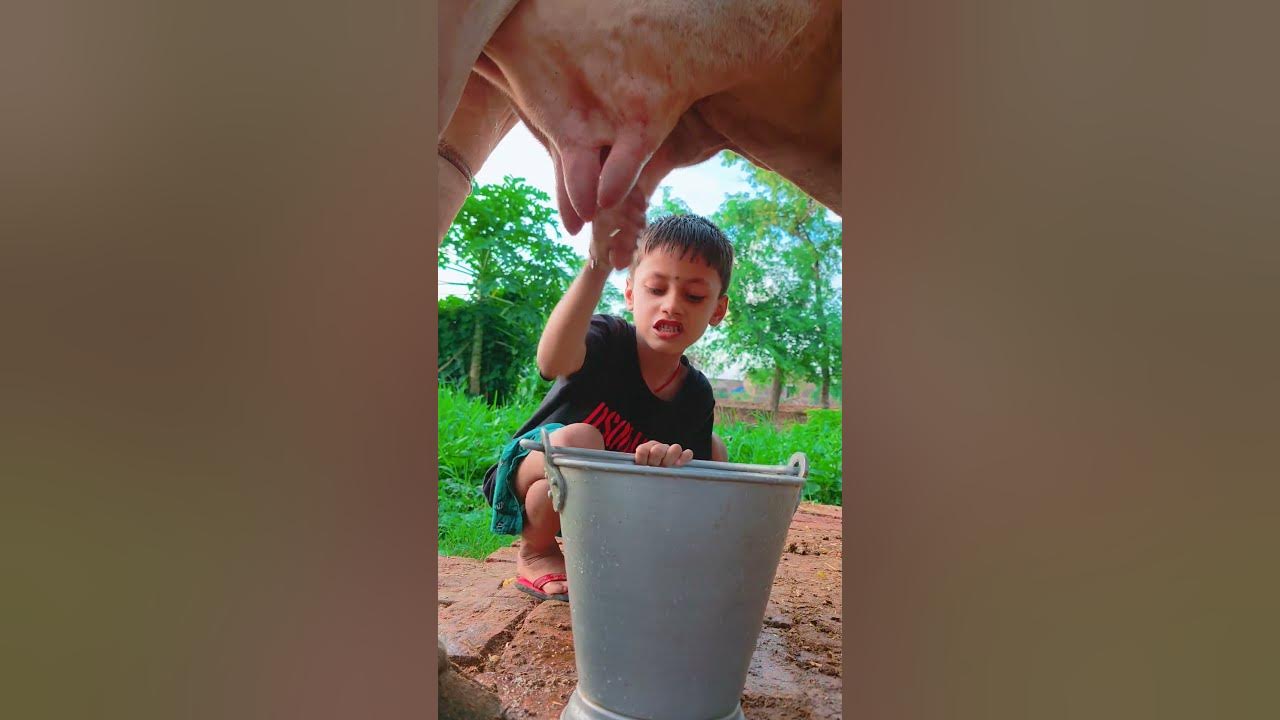 choti choti gaiya gyyth fhf #love #song #funny
