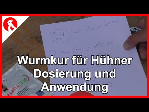 Video: Müssen Hühner entwurmt werden?