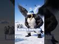 Muscular Emperor Penguin wished to fly. #shorts #ai #animalmemes #funny #penguin