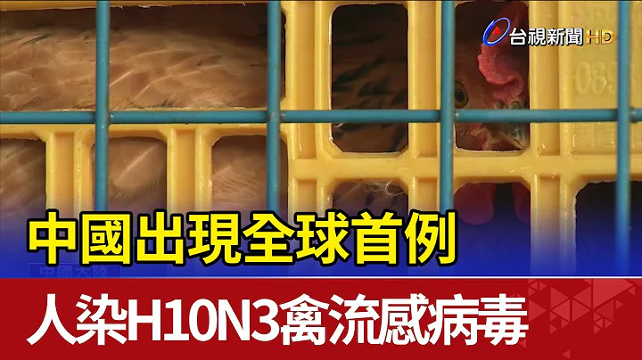 中国发生人染H10N3禽流感病毒 全球首例 - 天天要闻