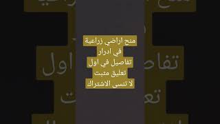 منح اراضي زراعية في أدرار آخر اجل لتقديم طلب الاستفادة 29 فيفري 2024