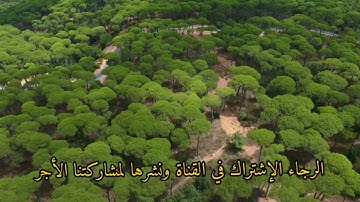 تلاوة في قمة الإبداع للقارئ بدر التركي سورة المزمل