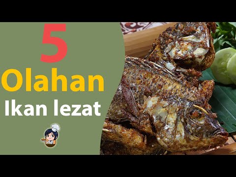 cobain-yuk-bunda..!!-5-resep-olahan-ikan-lezat,-hidangan-istimewa-untuk-keluarga