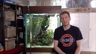Пять советов против водорослей в аквариуме
