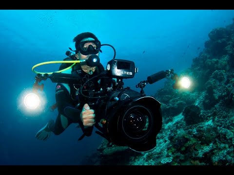 A Day in the Life of an Underwater Cameraman | Borneo from Below (S01E18)
