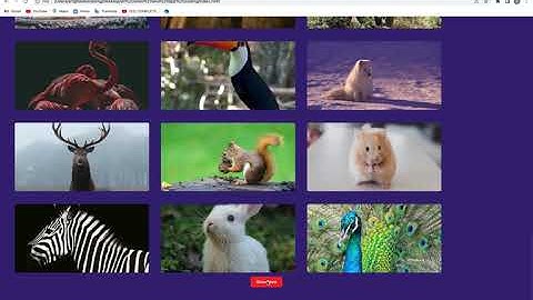 i completed Image Search Engine Using HTML CSS and JavaScript