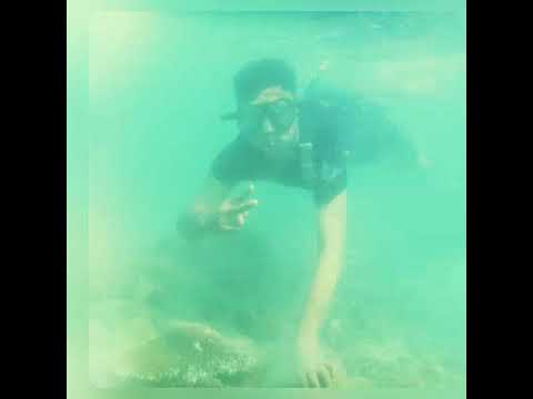 Momonon Wahai Pantai 11 Grdt