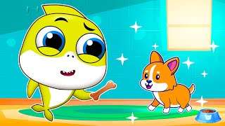 My Little Pet | JoJo Rhymes Kids Song