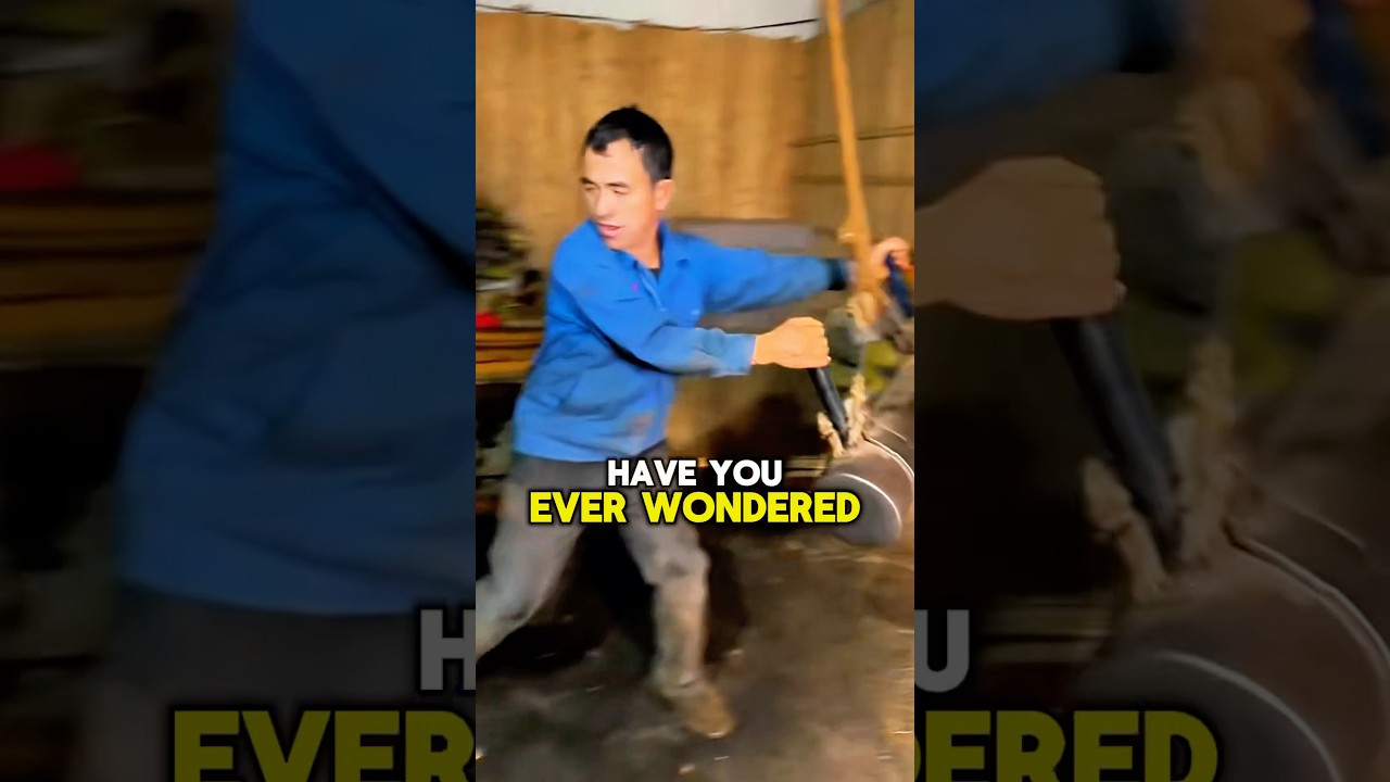The Hard Truth Behind Sunflower Oil 🌻💧 | You’ll Never See It the Same Again! #shorts